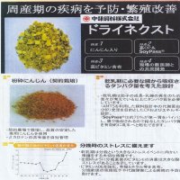 ＤＲＹネクスト