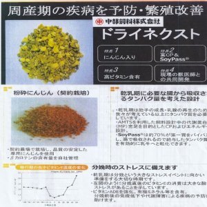 画像1: ＤＲＹネクスト