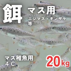 画像1: マス稚魚用４C