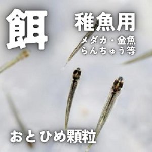 画像1: おとひめ顆粒