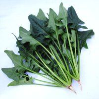 サラダッチ法蓮草