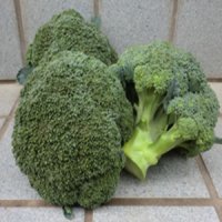 セカンドインパクトブロッコリー