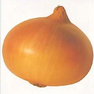 画像1: 玄海丸