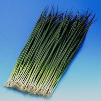 葉王葱　夏用