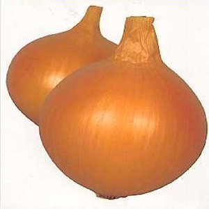 画像1: 豊泉