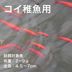 コイ稚魚用Ｃ－２
