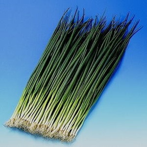葉王葱　夏用