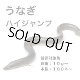 ハイジャンプ 6キロ うなぎの餌 ウナギの餌 鰻の餌 鰻用 練り餌 養鰻飼料 Amazon.co.jp: ハイジャンプ 1キロ うなぎの餌 ウナギの餌 鰻の