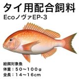 EcoノヴァＥＰ－３