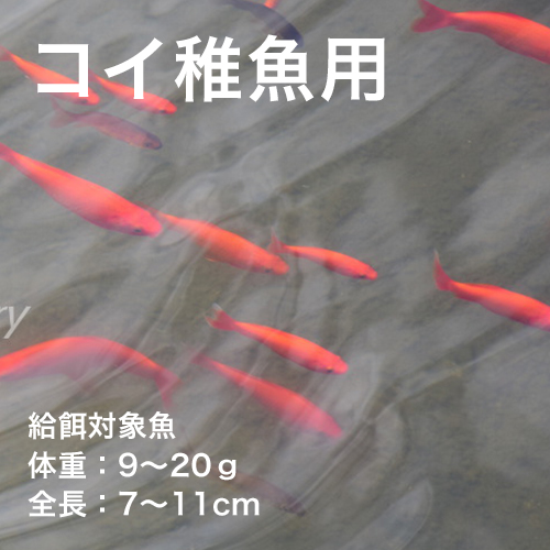 コイ稚魚用ｃ ３ コイのエサ 飼料 肥料 販売店 富士