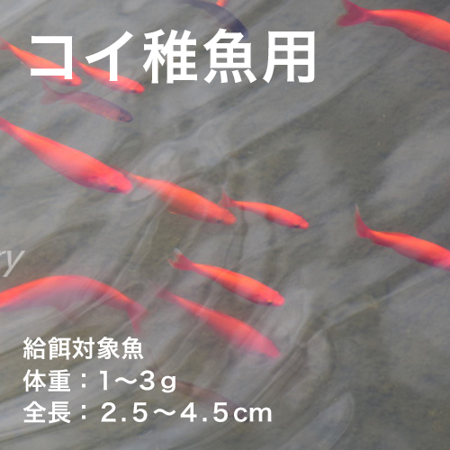 コイ稚魚用ｃ １ コイのエサ 飼料 肥料 販売店 富士