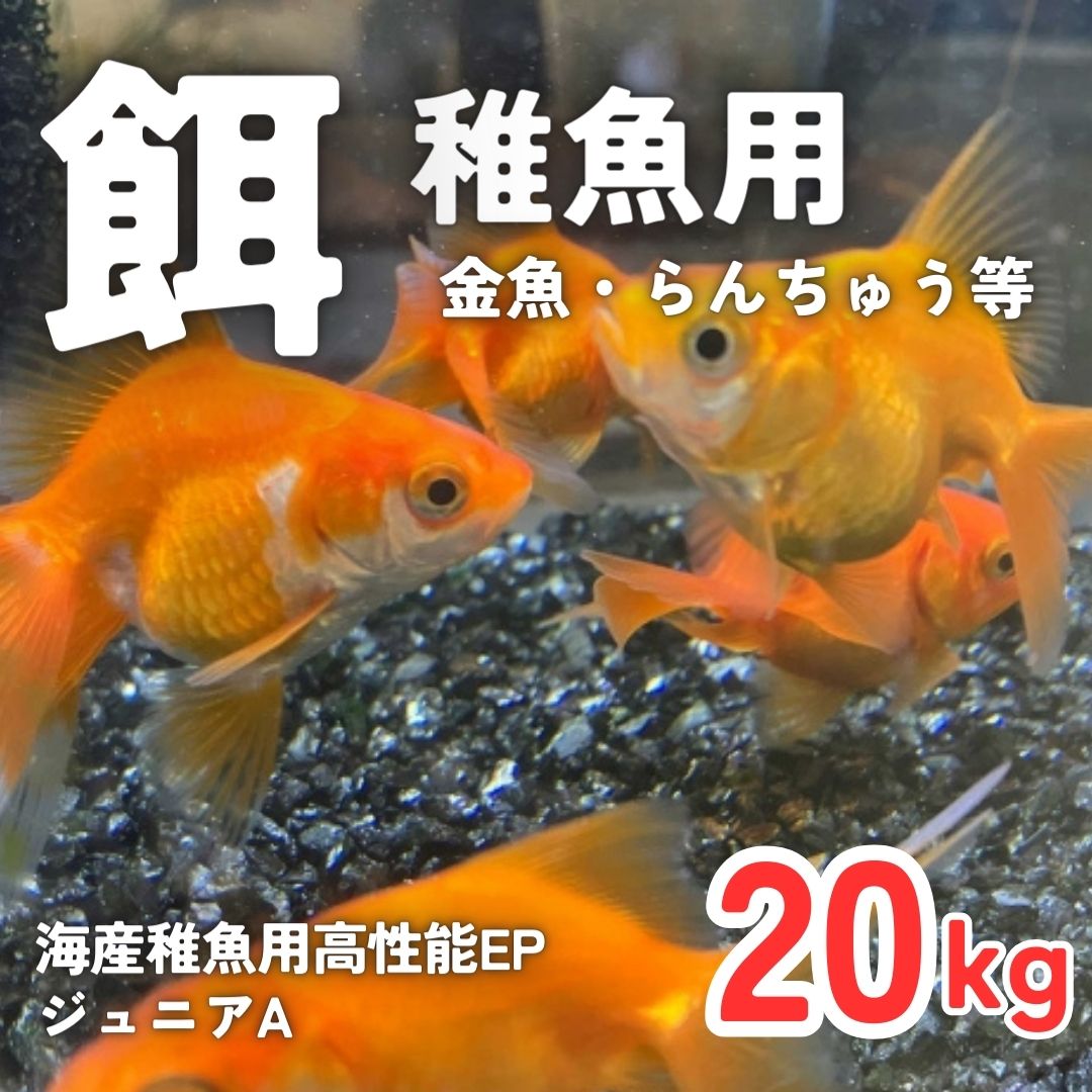 ジュニアA｜稚魚・金魚・らんちゅう ジュニア (沈下)｜養殖魚の餌 